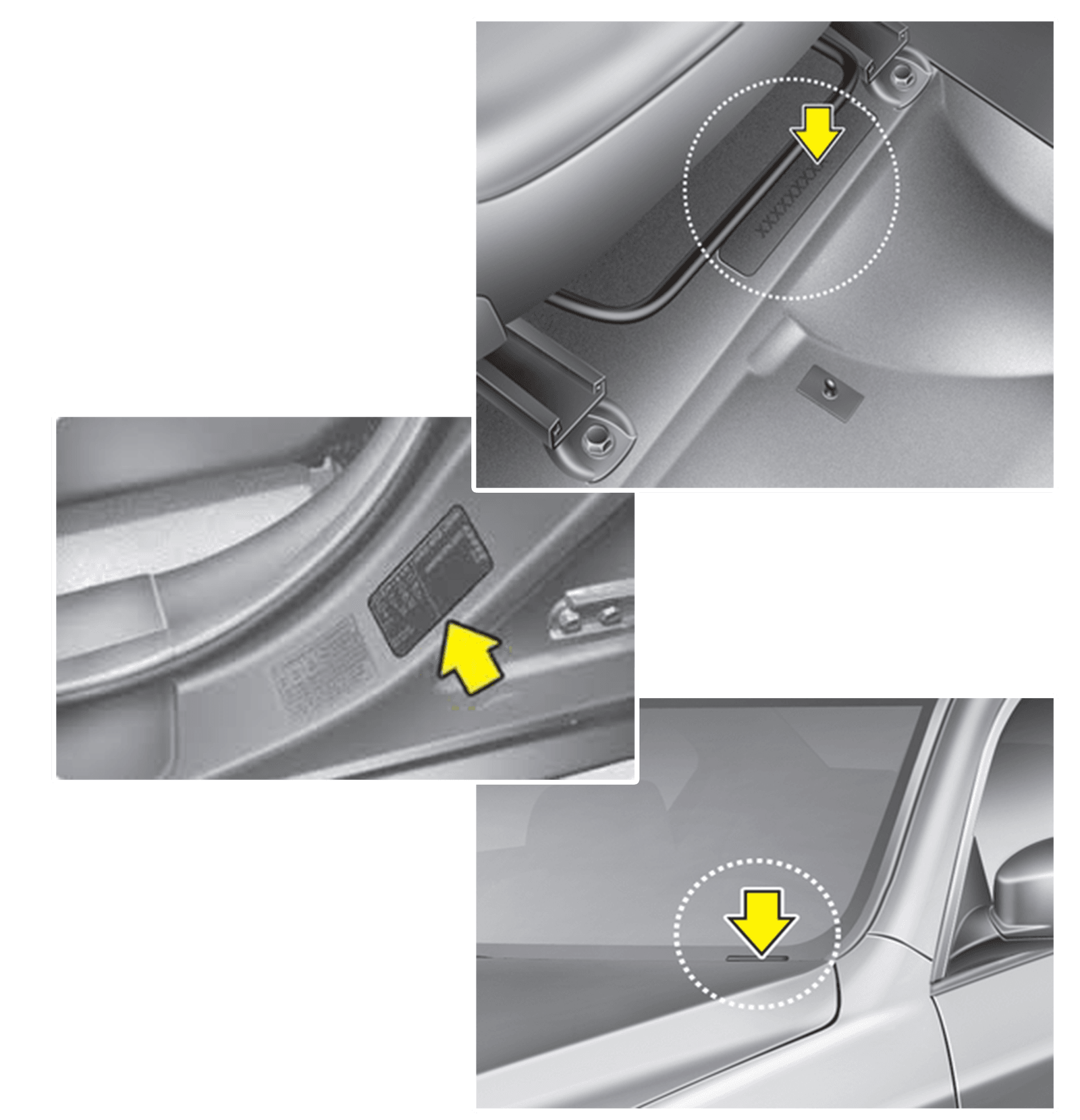 Илюстрация която показва къде се намира номера на рамата
